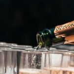 Champagne: Een bruisend verhaal vol verrassingen en geheimen